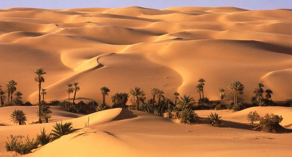 temporary placeholder image