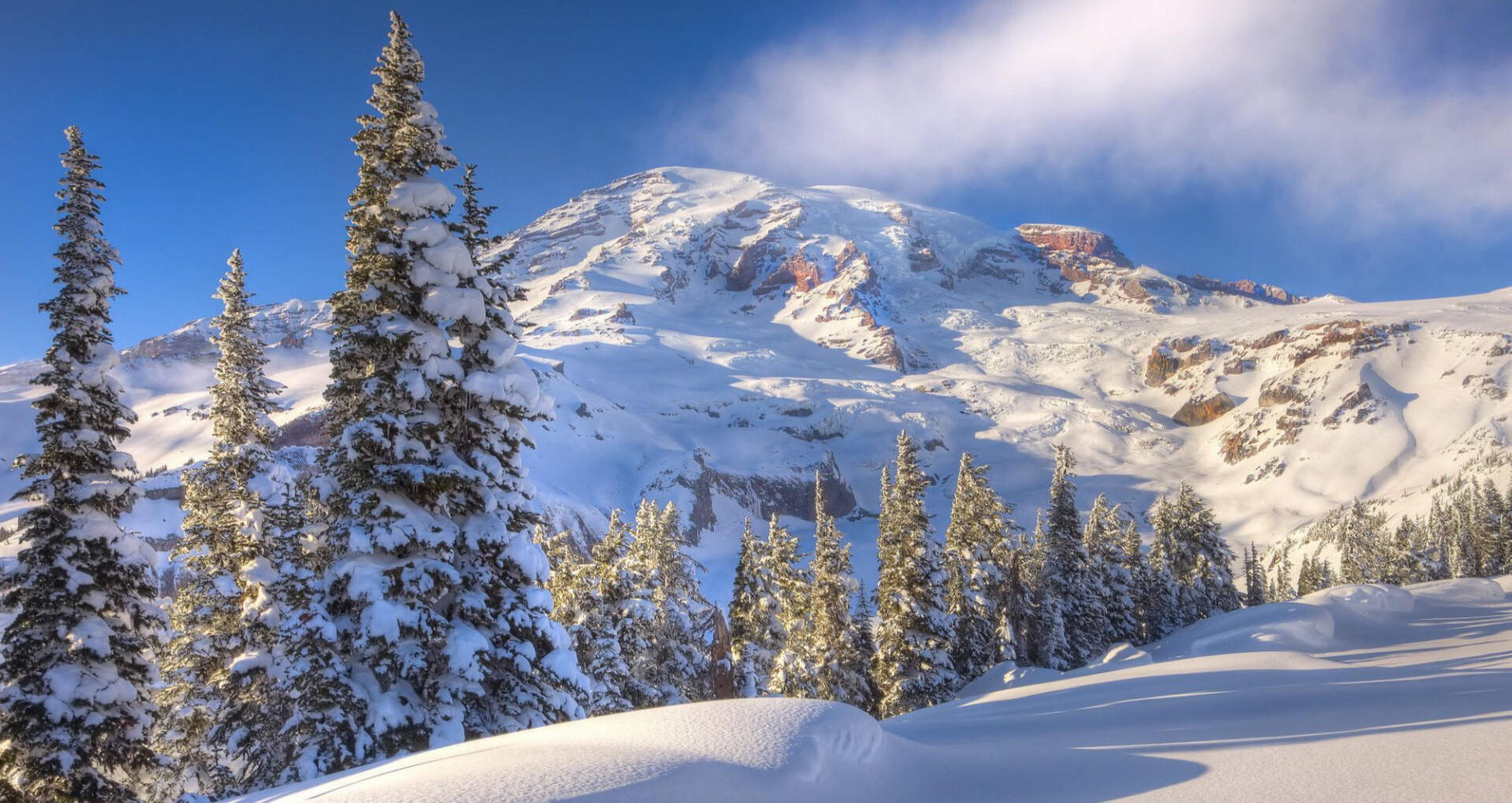 temporary placeholder image